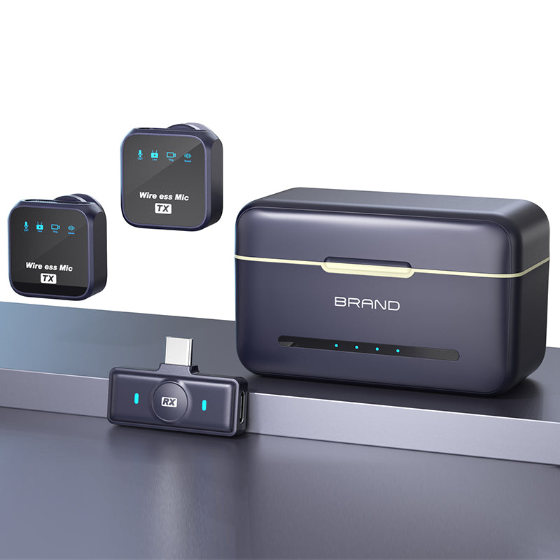 Wireless Microphone VQ-MC01